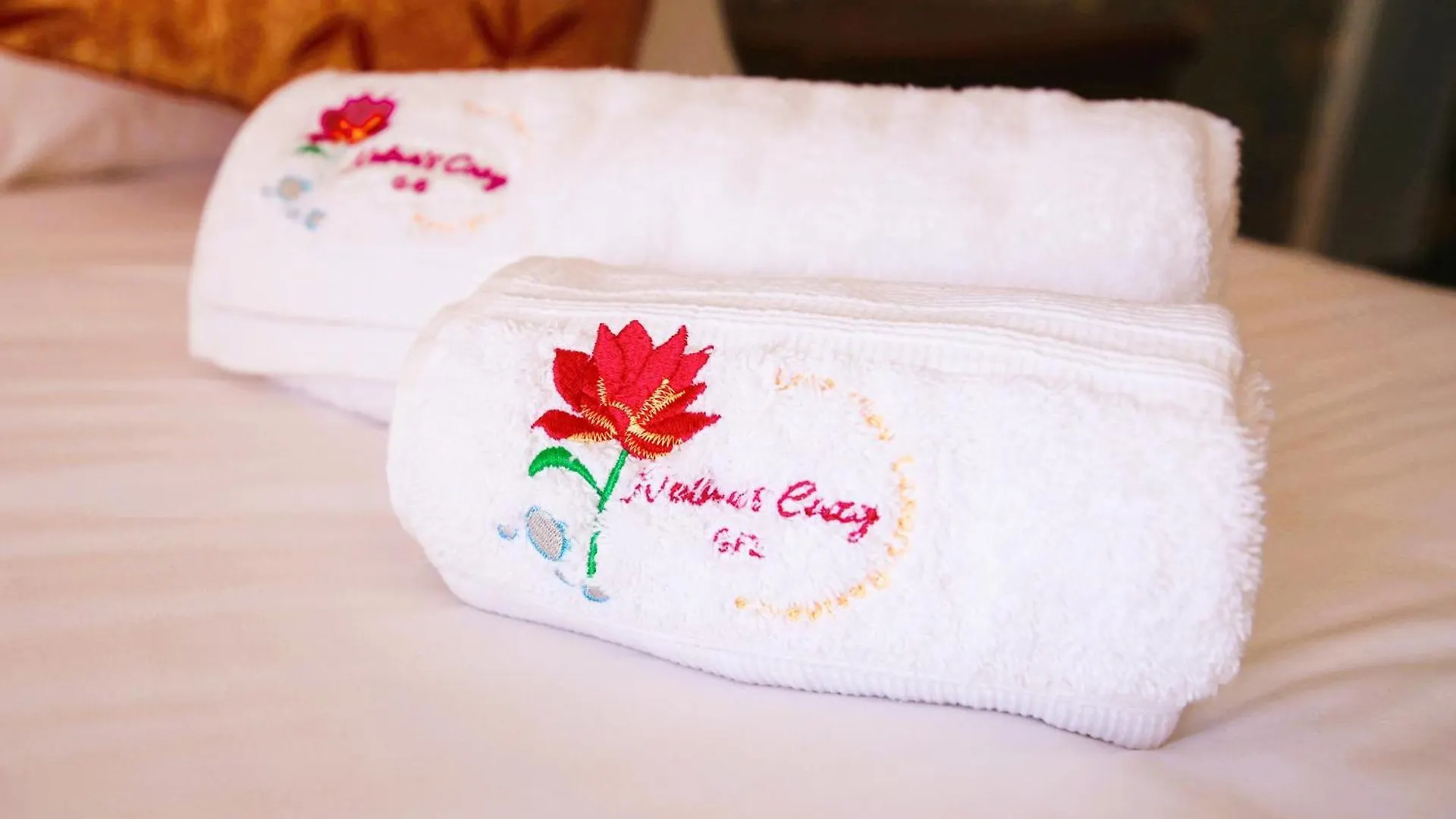 Nelma'S Cosy Lejlighed Nuwara Eliya