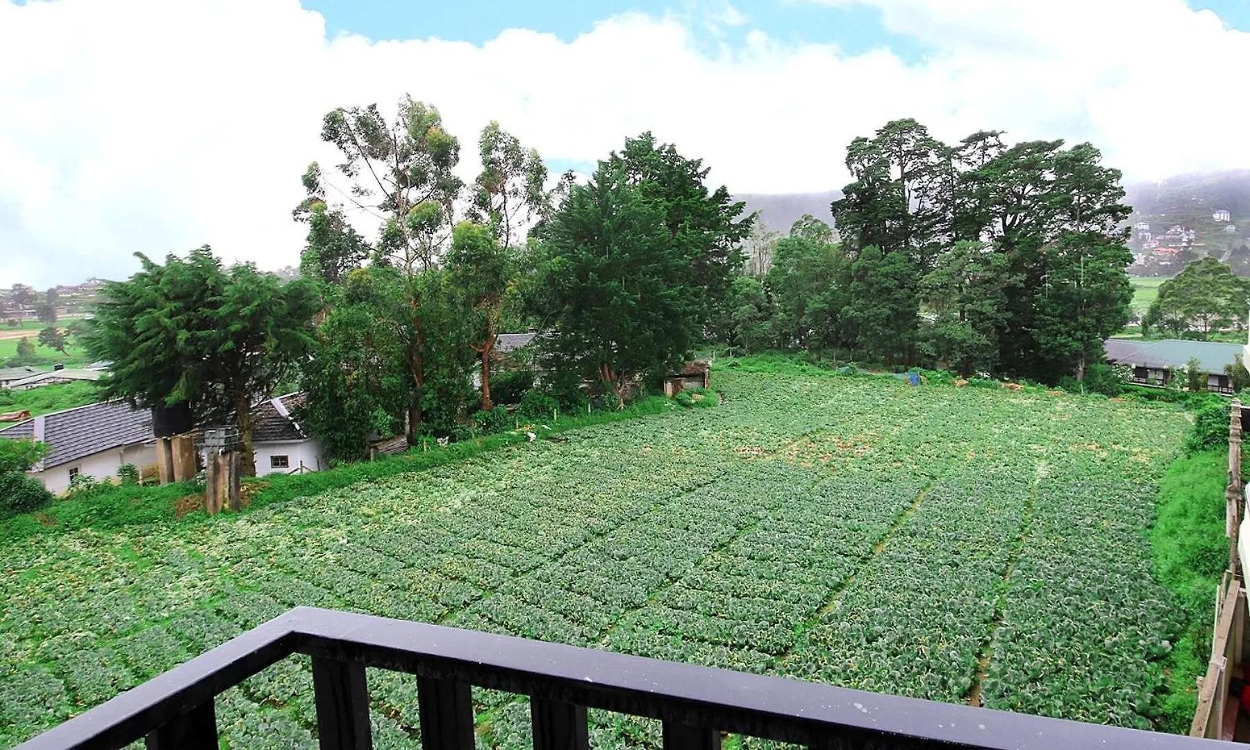 Nelma'S Cosy Lejlighed Nuwara Eliya 0*,  Sri Lanka