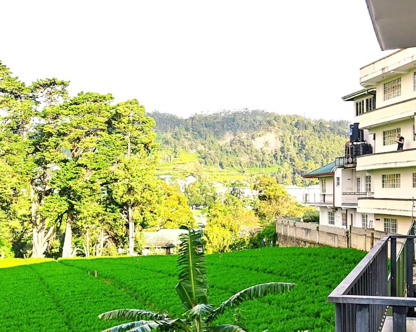 Nelma'S Cosy Apartment Nuwara Eliya