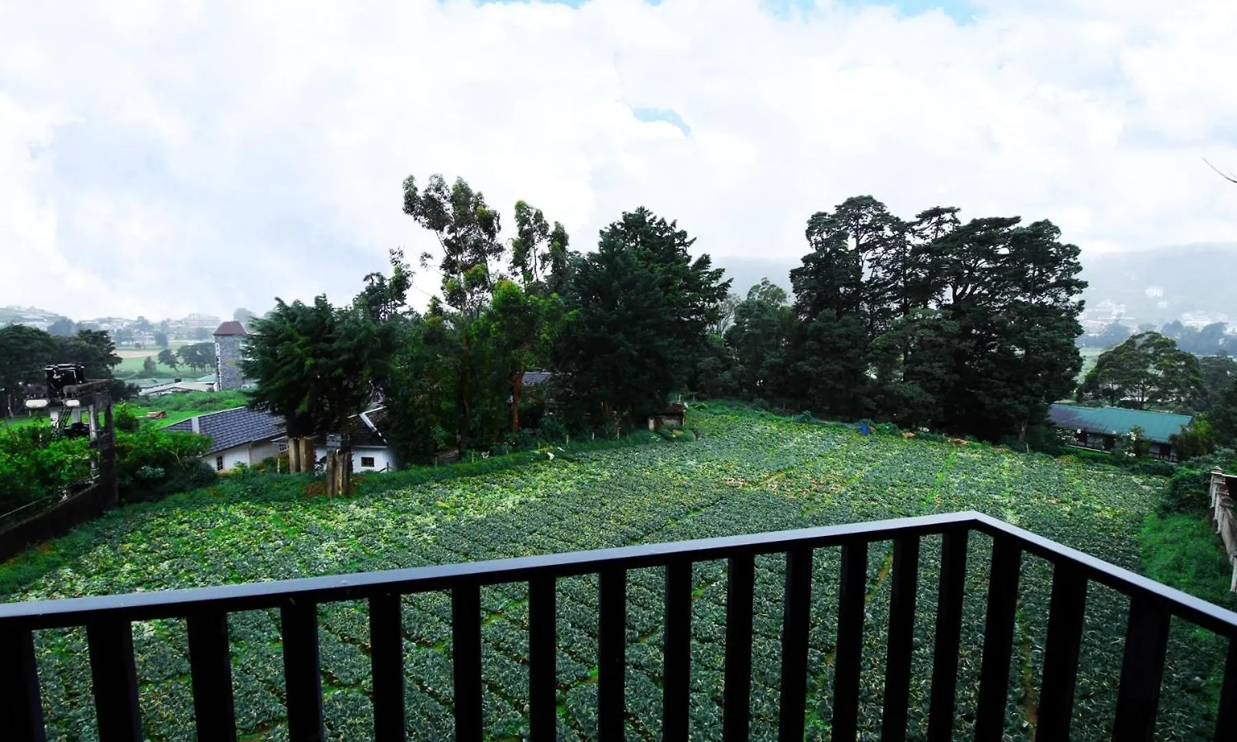 Nelma'S Cosy Apartment Nuwara Eliya Sri Lanka